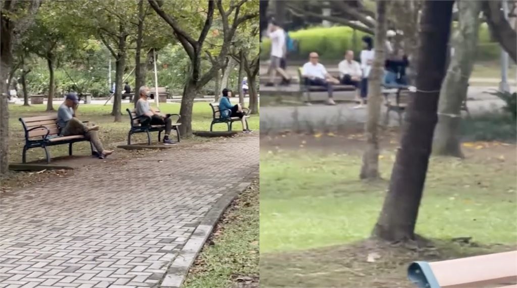 大安森林公園集體「啪啪響」?長輩齊拍腳底引萬名圍觀 內行揭真相