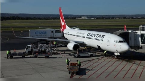 客機爆「蟲蟲危機」!旅客17小時航班遭咬成噩夢 航空公司致歉