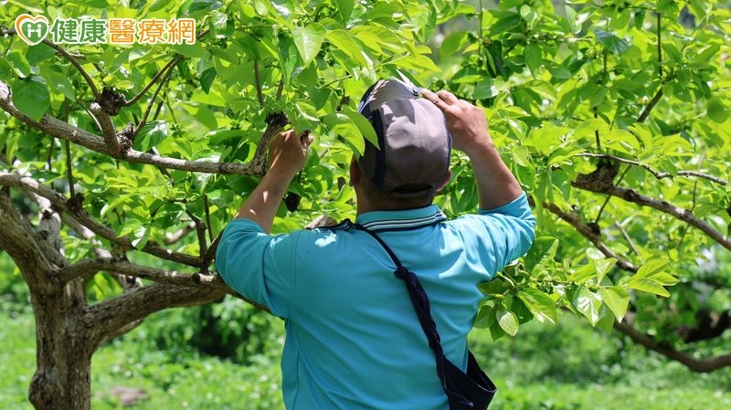 ▲露德於台中設立的朝露農場治療性社區,透過農務、大地療法,陪伴藥癮朋友重新找回生活。圖片提供:社團法人台灣露德協會