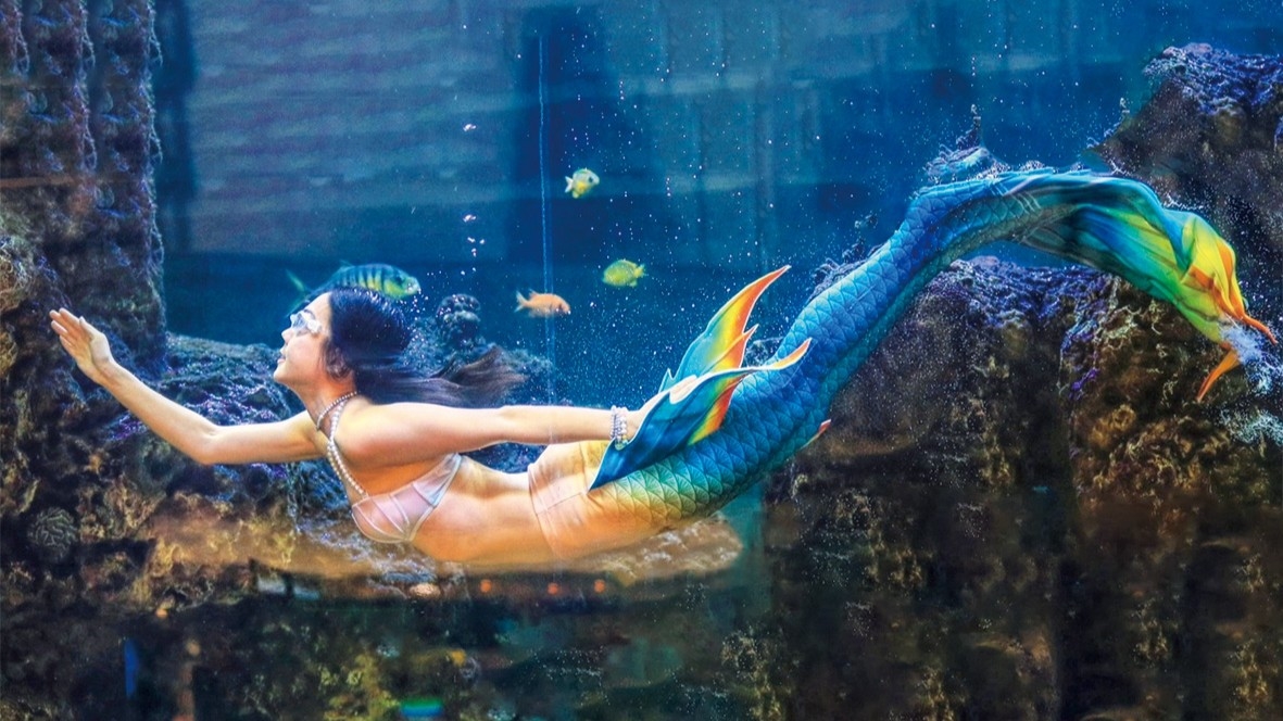 圖/大葉高島屋限定活動,於地下一樓中央水族廣場推出「美人魚姐姐餵魚秀」,假日下午2時及晚上7時各演出一場。(大葉高島屋提供)