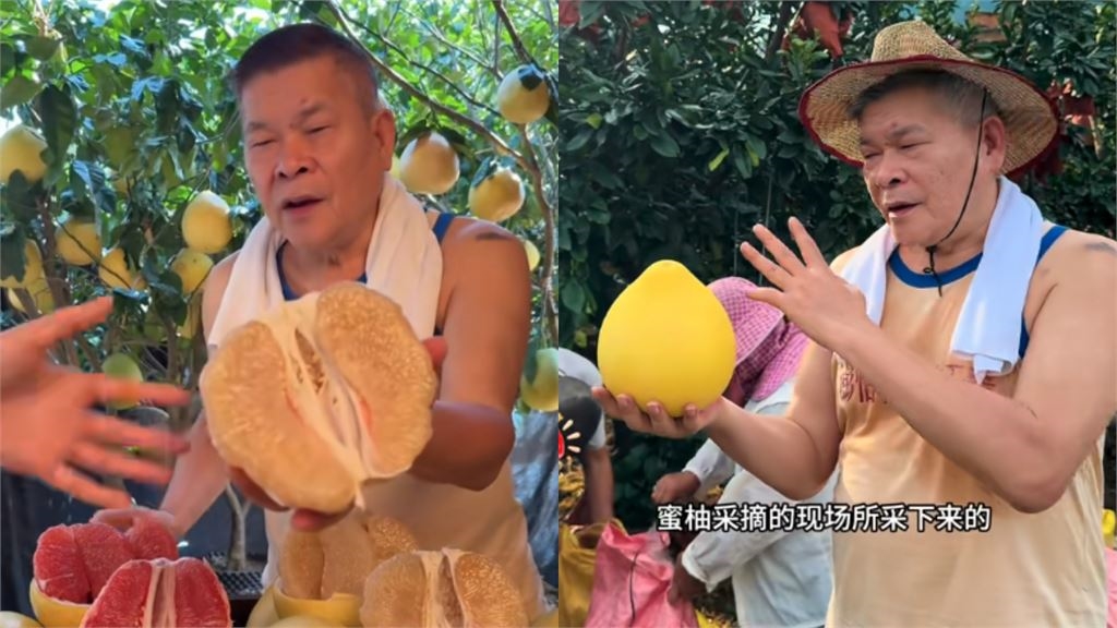 70歲澎恰恰「中國賣柚子」徒弟許效舜也去了!破產背債2.4億近況曝