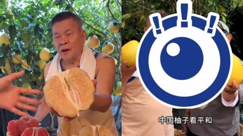 70歲澎恰恰昔破產、背債2.4億!中國賣柚子「徒弟許效舜」驚喜現身