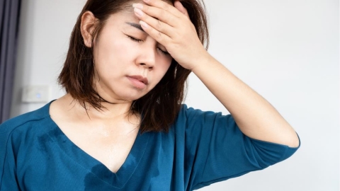 別再只怪卵巢了!研究揭開更年期大腦「重新適應」的健康迷思