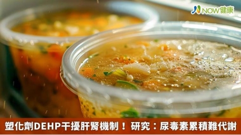 塑化劑DEHP干擾肝腎機制! 研究:尿毒素累積難代謝
