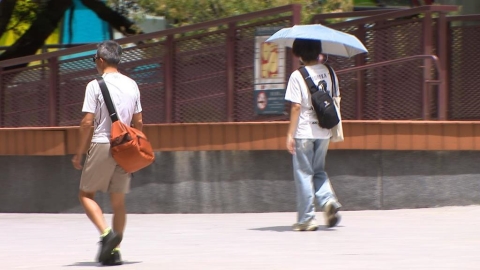 週三前秋老虎發威氣溫高 強颱薔琵逼近不排除登陸