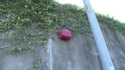 社子島奇景！　堤防騎車散步免繞路　美食用「一條繩子」外送　免平台費！