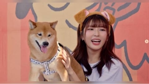 愛的小窩3/台南女孩超可愛!籃籃返鄉險潰堤 峮峮想回鄉當闆娘