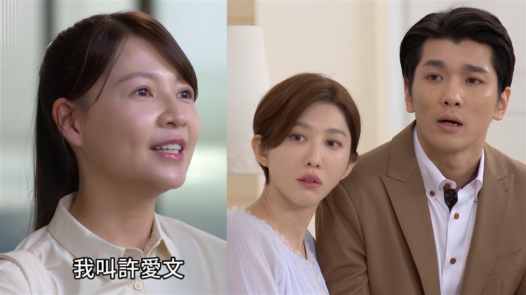 謝京穎產後首復出《豆腐媽媽》演學霸保母！恐崩壞變小三？網憂：別破壞生美CP
