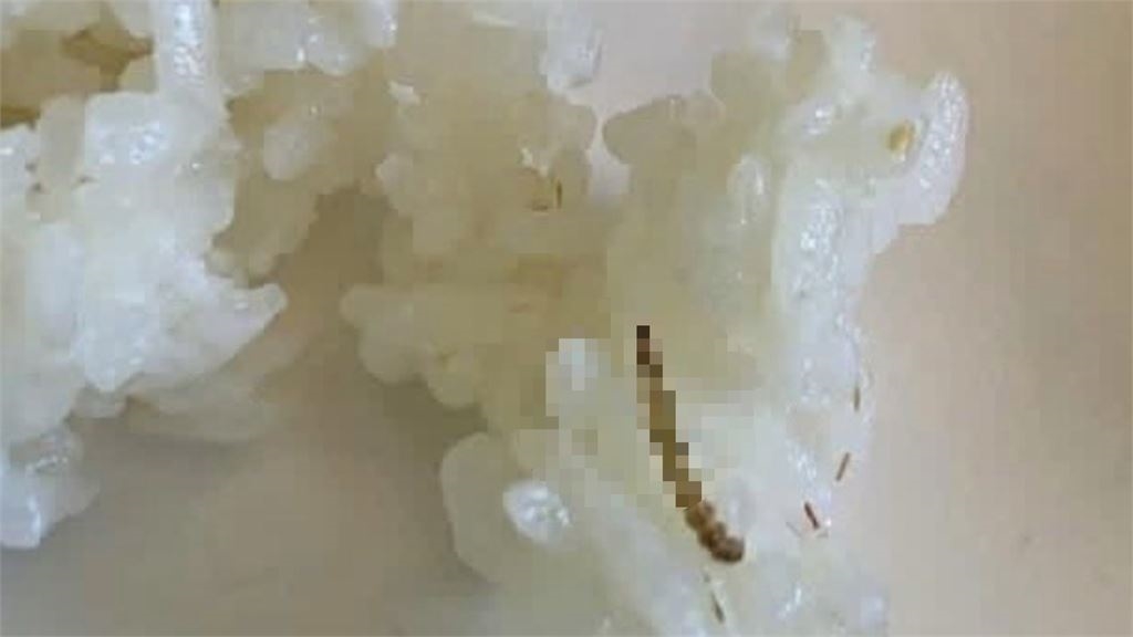 噁!高中團膳午餐遭控「有蟑螂」 衛生局全面稽查