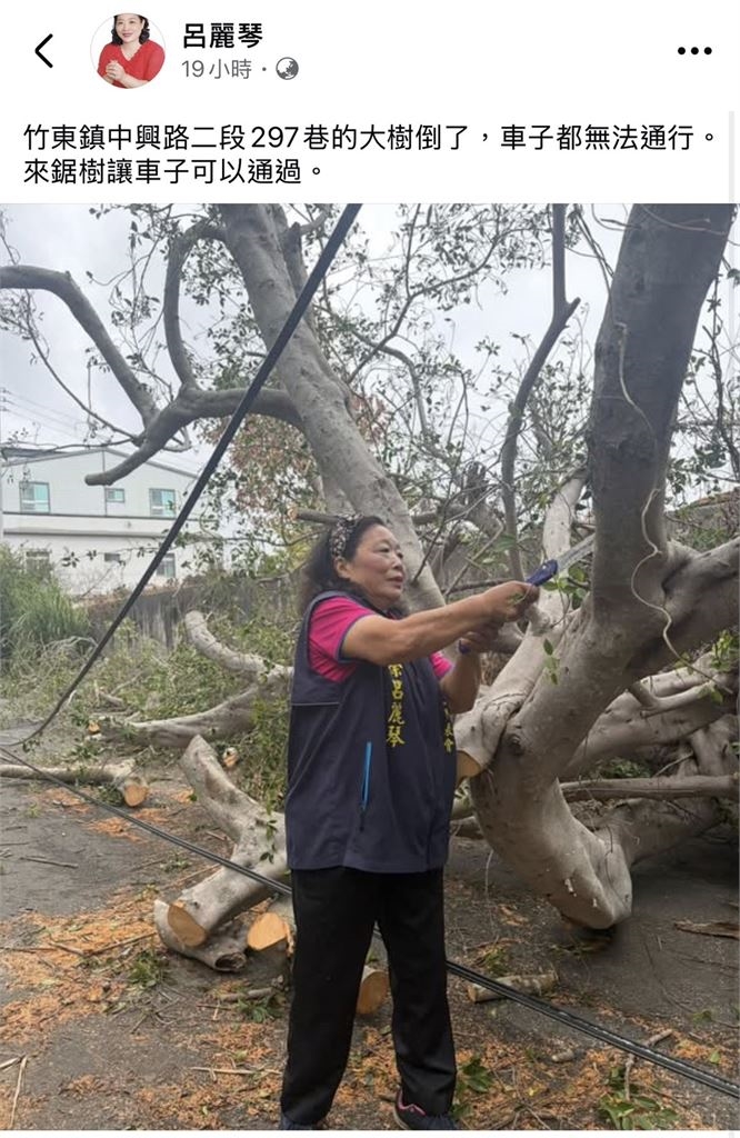 颱風天擺拍?前國民黨鄉鎮代表「拿鋸子鋸倒樹」遭網酸:竹東小鋸人