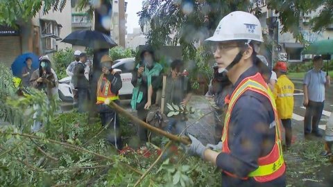 蔣萬安動手了!勘災親自上陣撿樹枝 四叉貓拿「當兵經驗」酸爆