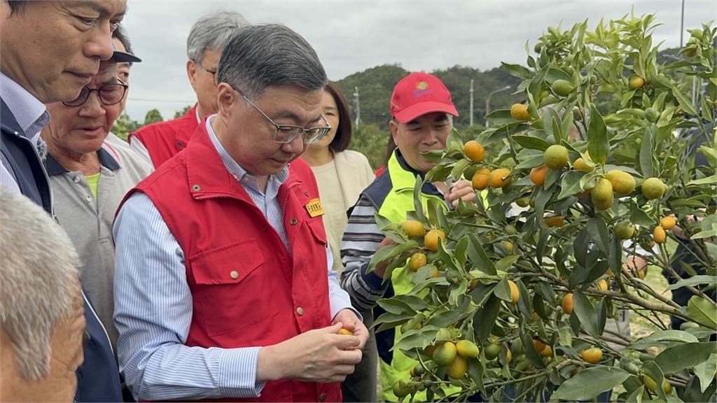 快新聞/「薔琵」重創宜蘭農作物!卓榮泰視察茂谷柑、金柑災損:農業部全力協助農民