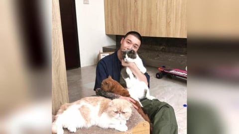 Toyz假釋出獄了？監所最快今日放人　彰化監獄回應了