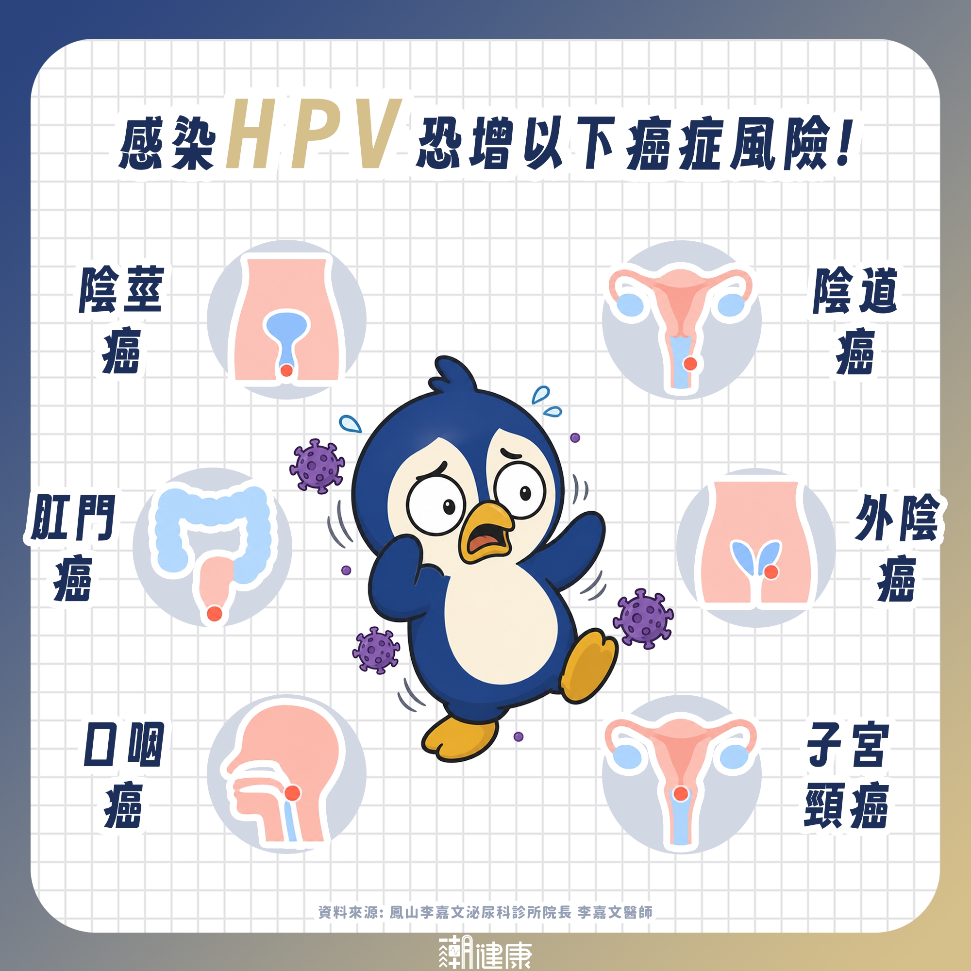 愛玩「奶油泡芙」當心獲性病全餐! 泌尿科醫示警:有吃PrEP也可能得菜花 內文圖片 2