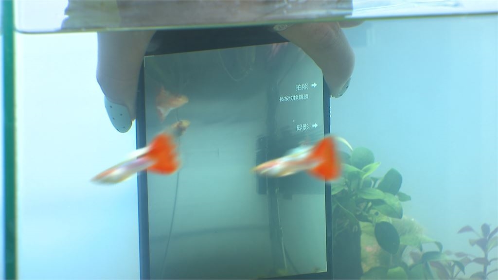 搭載聯發科天璣9600 Pro晶片 手機大廠旗艦新機效能暴衝