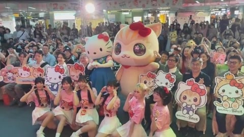 萌萌聯手!蜜柑站長攜手Hello Kitty 高捷聯名彩繪列車可愛亮相