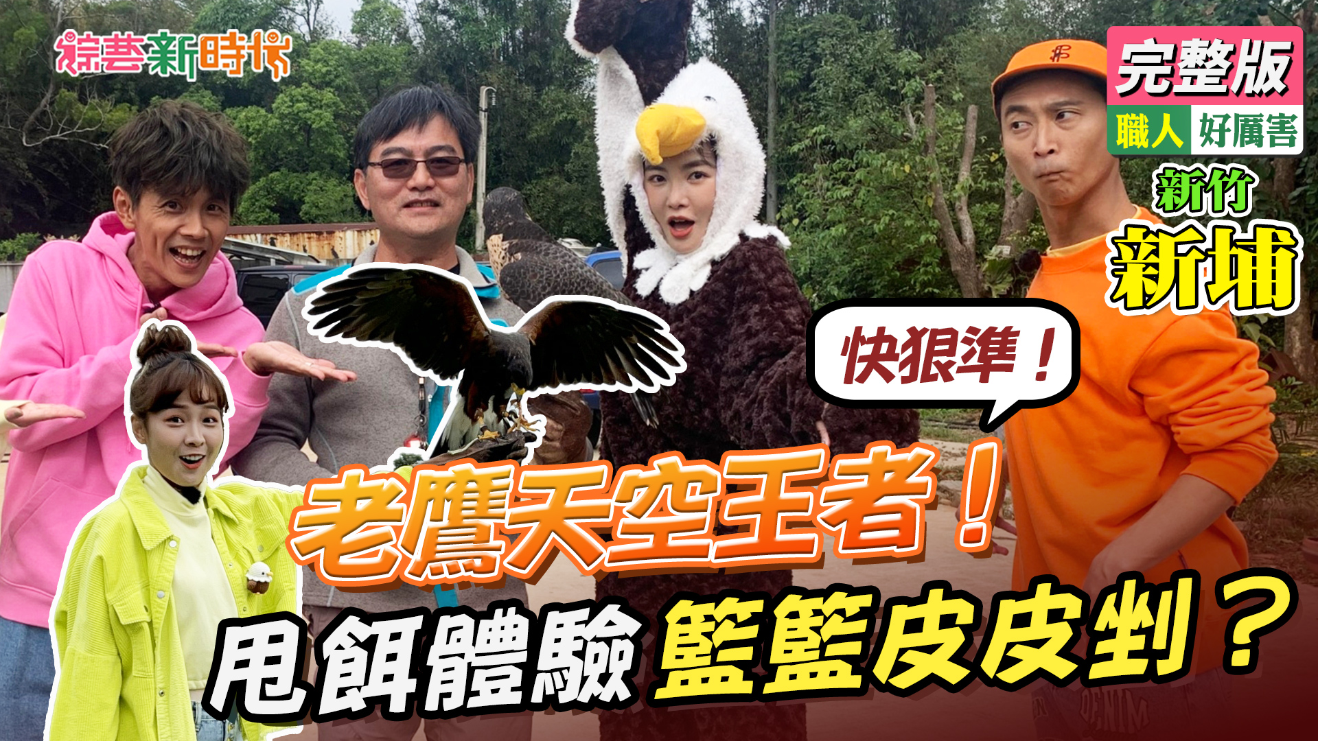 老鷹天空王者！快狠準！甩餌體驗籃籃皮皮剉？