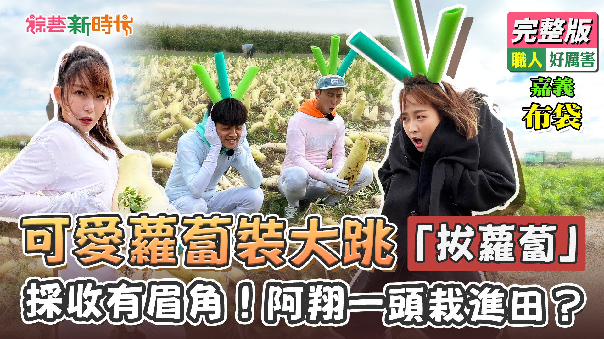 可愛蘿蔔裝大跳「拔蘿蔔」採收有眉角！阿翔一頭栽進田？