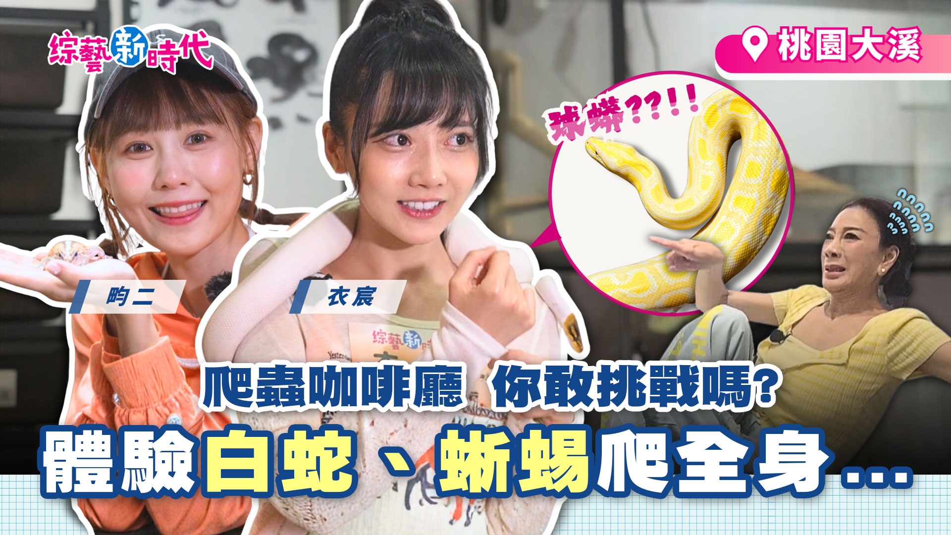衣宸改名蔡比八？籃籃挑戰白蛇上脖驚叫連連！ 叢林冒險尋「猛獸」 挖到價值破萬寶物！