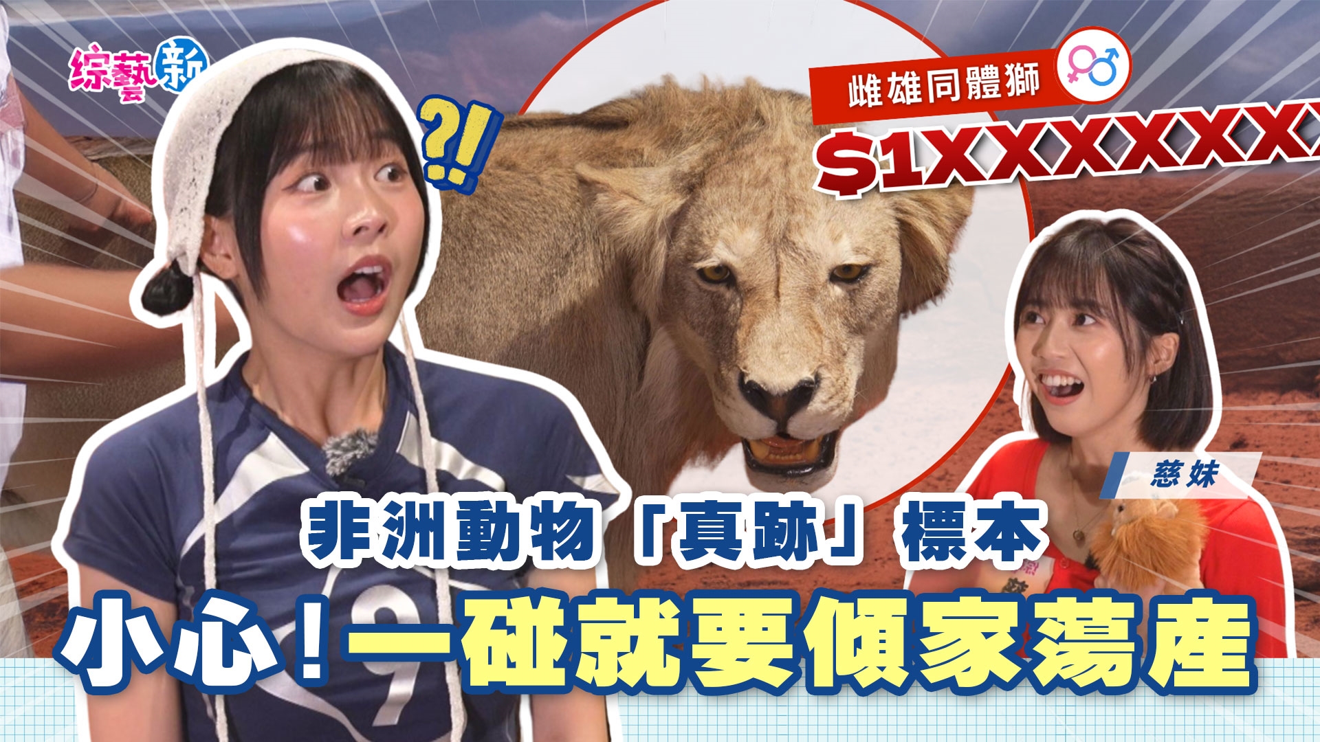 一碰就破產?慈妹錄影險賠千萬 💸 驚見千萬級真標本!| 楊繡惠解鎖首次潛水 🤿 深入國境之南絕美