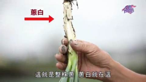 第30集