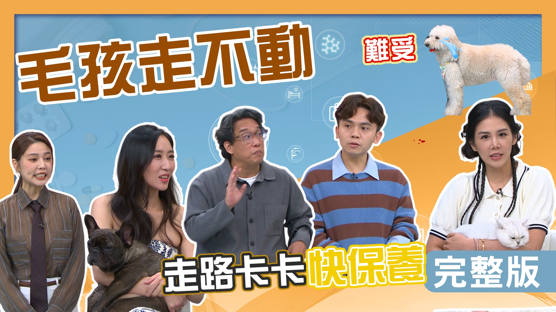 楊晨熙貓咪狂吐沙發嚇到不敢亂換飼料！蔡允潔砸20萬搶命哭到崩潰！阿龐狗狗皮膚災難狗傳狗！