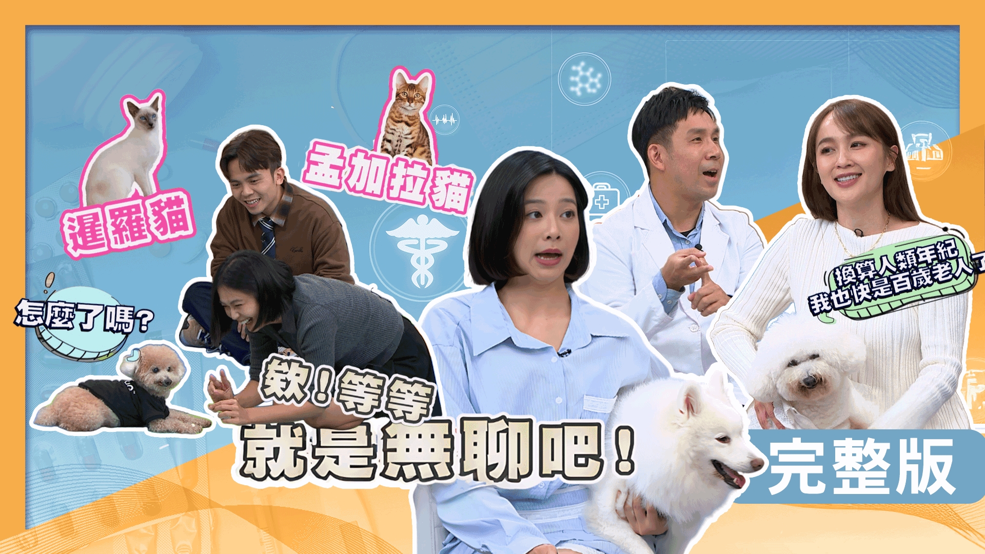 安苡愛毛孩濕疹反覆發作！蔡逸帆愛犬氣管塌陷！蔡祥抱愛犬親自上五樓！