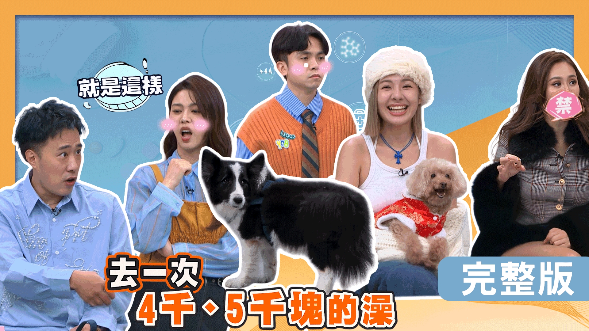 薔薔愛犬重病花30萬！余祥銓愛犬Oreo皮膚潰爛！徐瑋吟妞妞關節問題一堆！