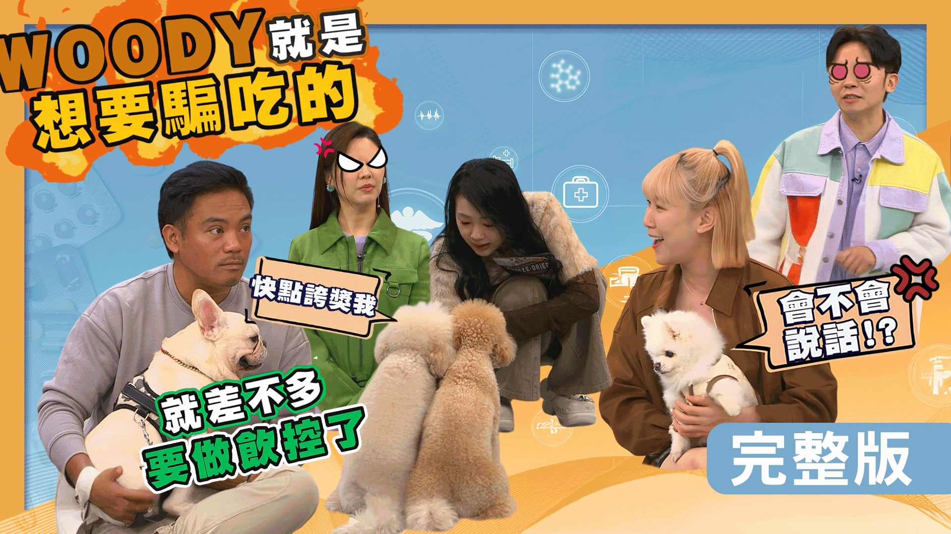 撒基努愛犬吃毛毯嚇壞人！詹子晴狗狗亂翻廚餘被發現？李懿愛犬越老越重聽