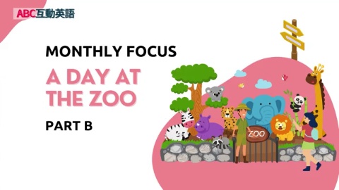 A Day at the Zoo Part B