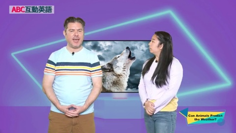 Can Animals Predict the Weather? (2)