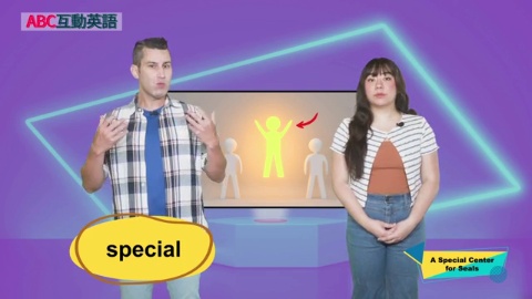 A Special Center for Seals (1)