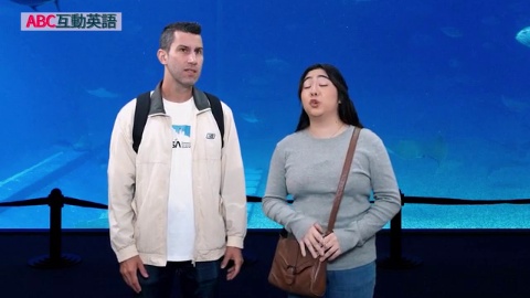 The World of Sea Animals Part A