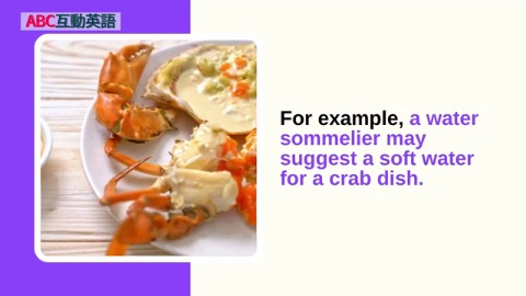 Meet the Water Sommeliers (2)