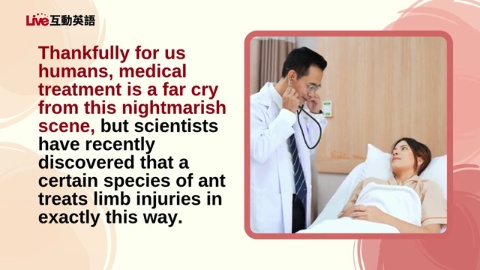 Animal Doctors: Medical Advice from the Wild (1)