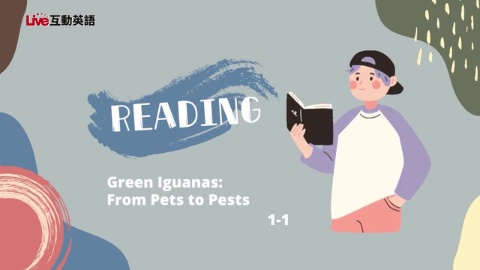 Green Iguanas: From Pets to Pests (1)