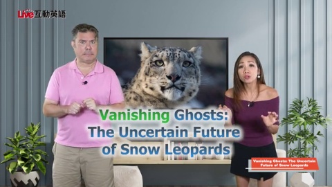 The Uncertain Future of Snow Leopards (1)
