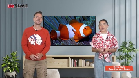 Clown Fish: More than Just Nemo (1)