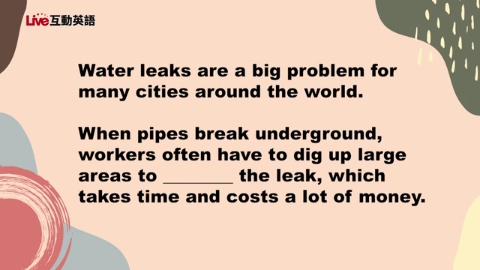 Super Dogs Find Water Leak