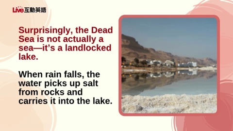 The Salty Story of the Dead Sea