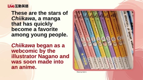 The Rise of Chiikawa (1)