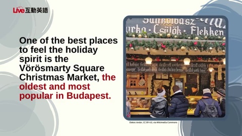 Celebrate the Season: Winter in Budapest (1)