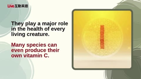 Too Many Vitamins Won’t Keep the Doctor Away (1)