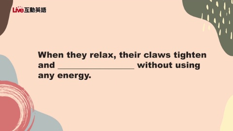 Why Do Bats Hang Upside Down?