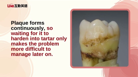 Mouth Busters: Beating Oral Health Myths (2)