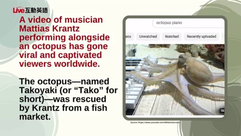 An Unexpected Student: Tako the Musical Octopus 