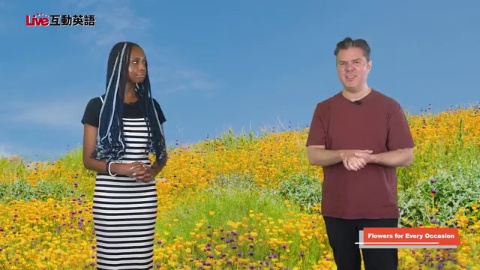 Flowers for Every Occasion (2)