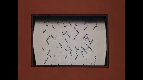  在夜晚的粉紅色中