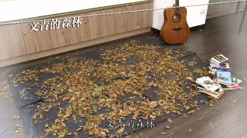 苦苓與瓦幸的魔法森林 