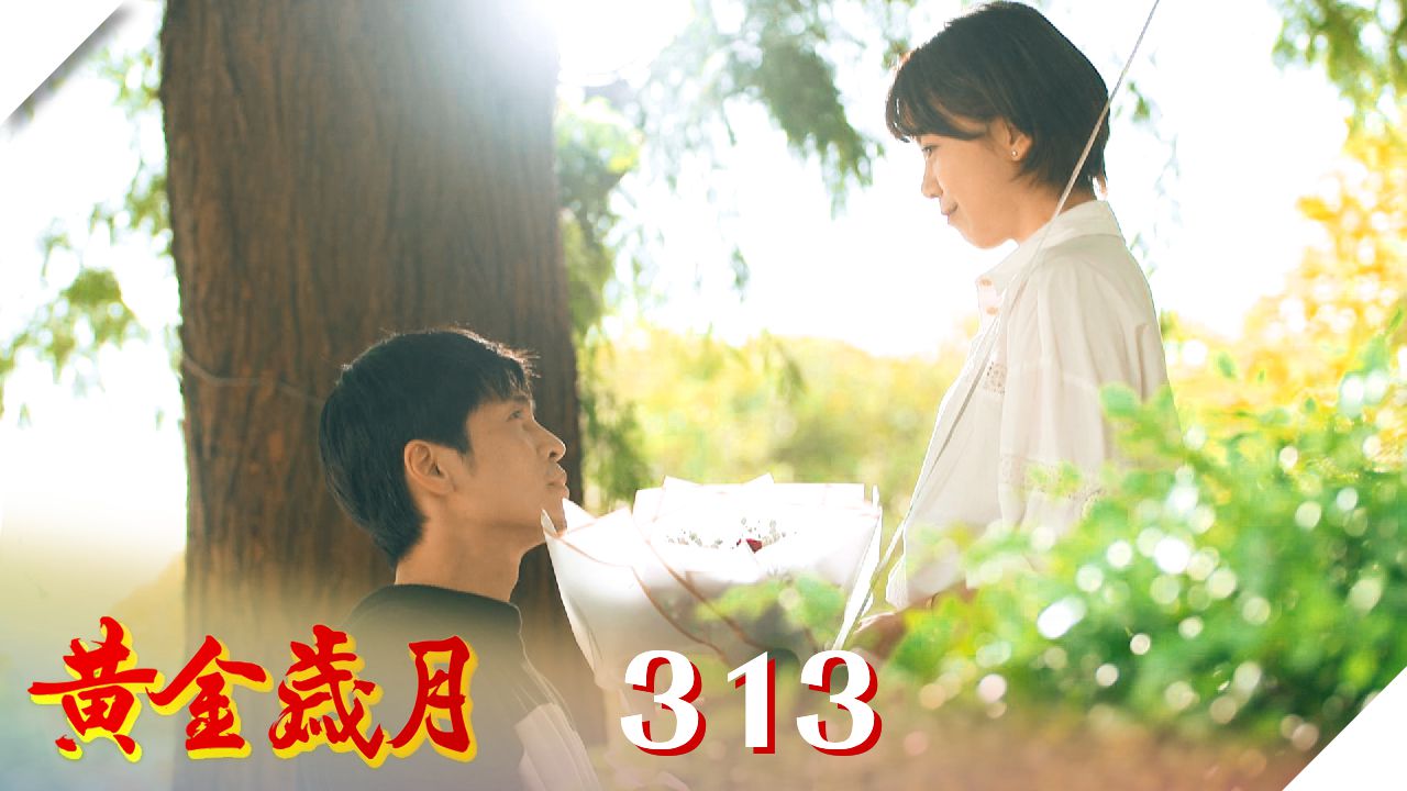 黃金歲月 第313集